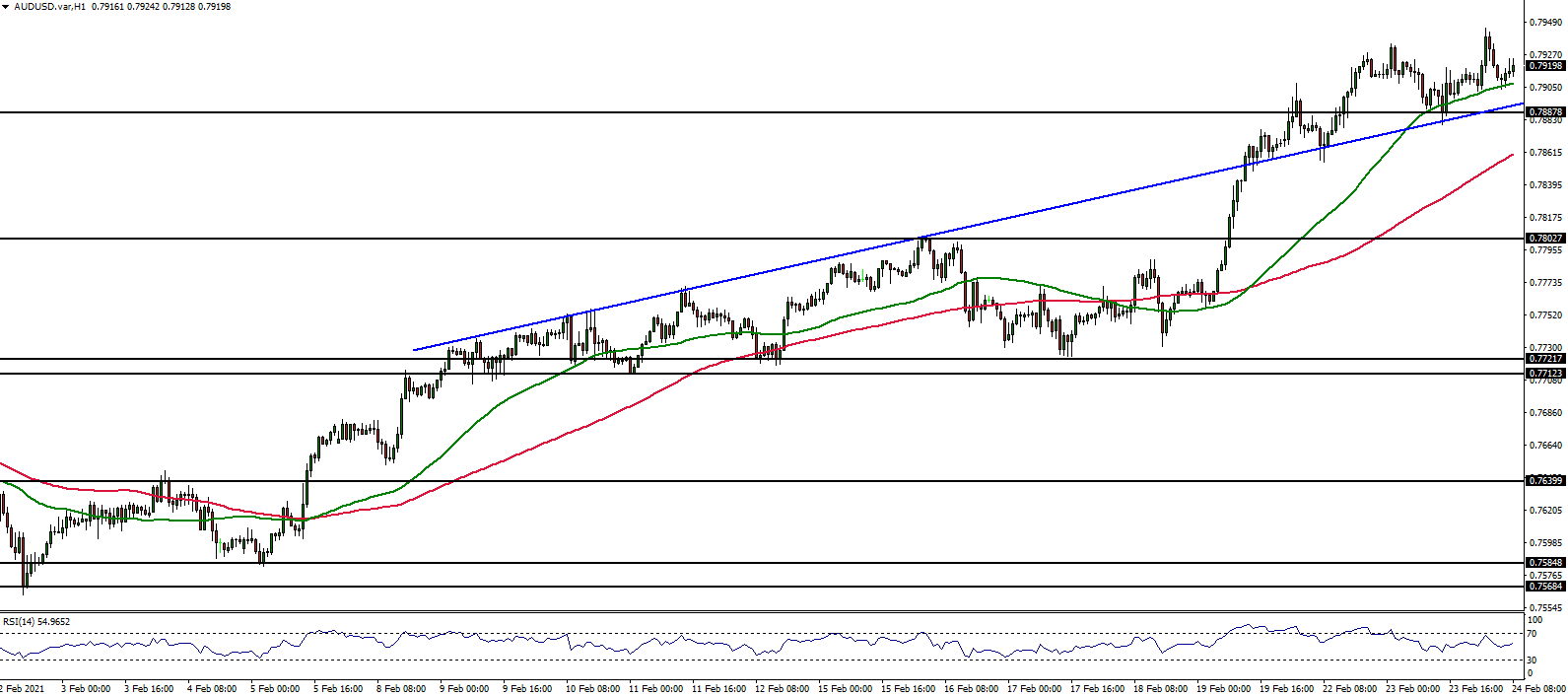 TriumphFX Intraday Forex Analysis 1 Hour Charts February 24, 2021
